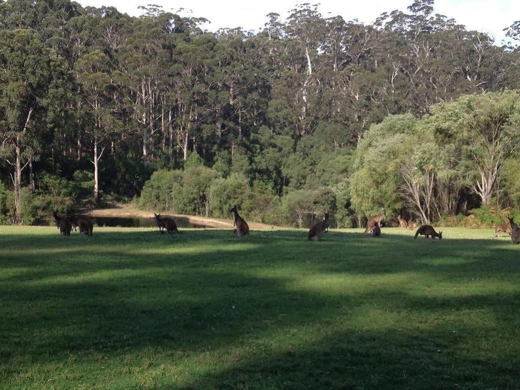 Marima Lodge Pemberton